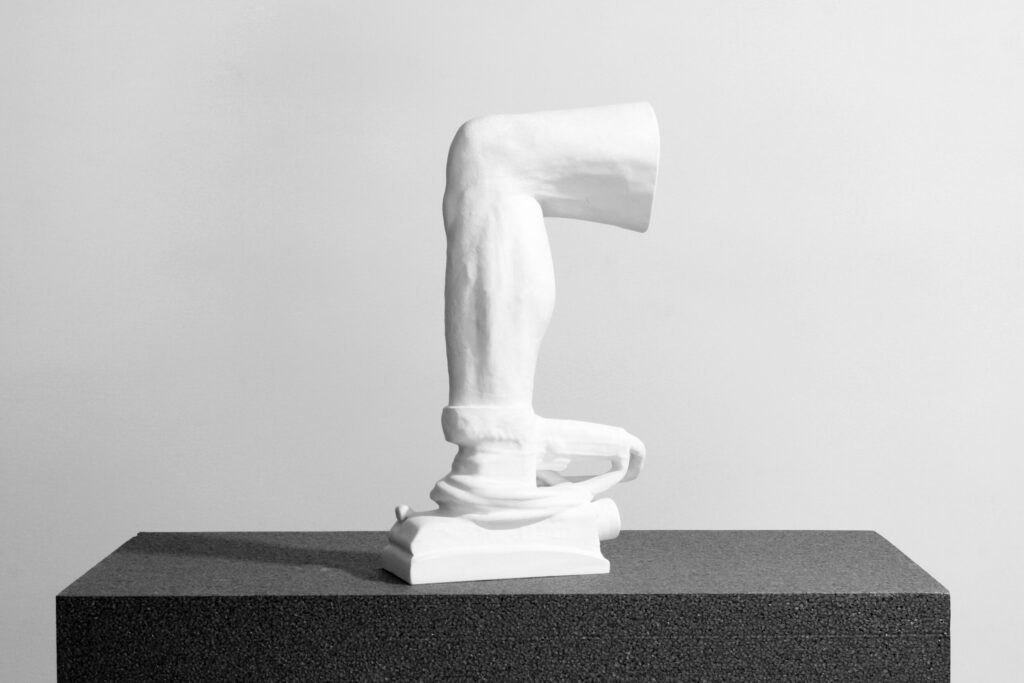 Prothese 2019 Alabastergips 15x25x60 cm