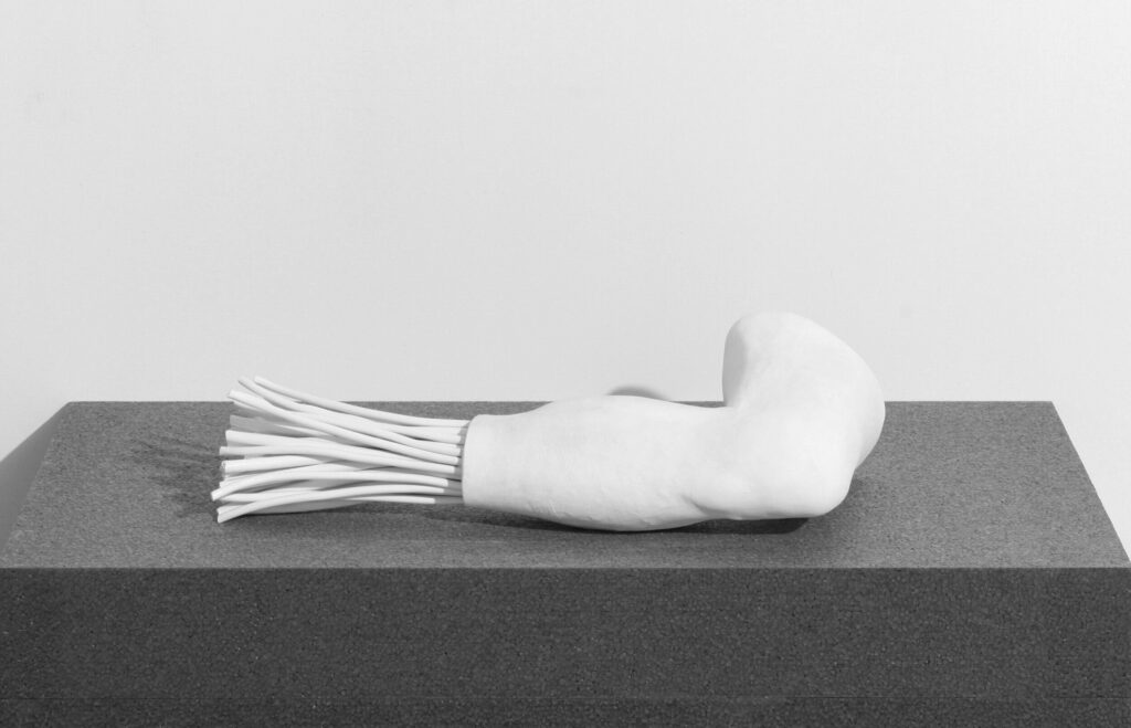 O.T. 2019 60x26x16cm