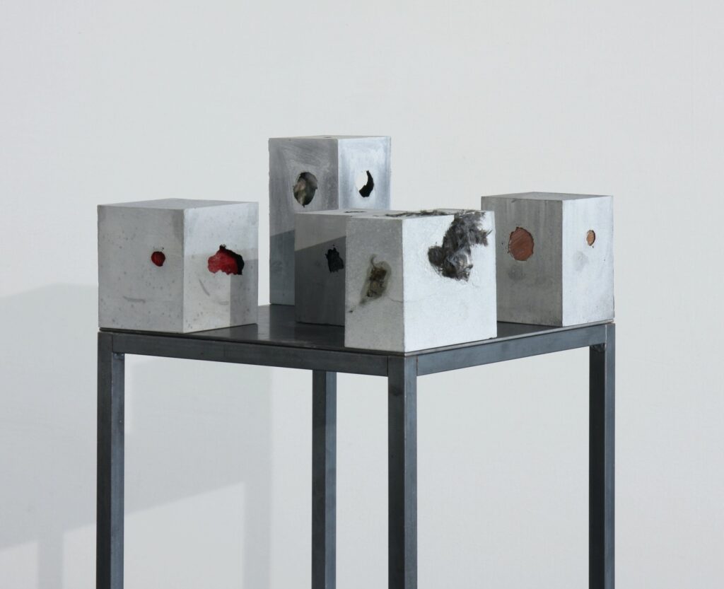 Stilleben 2015 Obst Amsel Beton 35x35x12cm